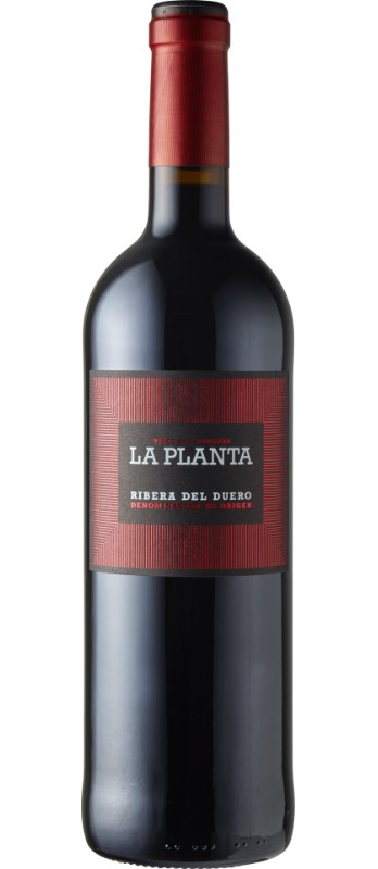 Ribera del Duero DO, La Planta