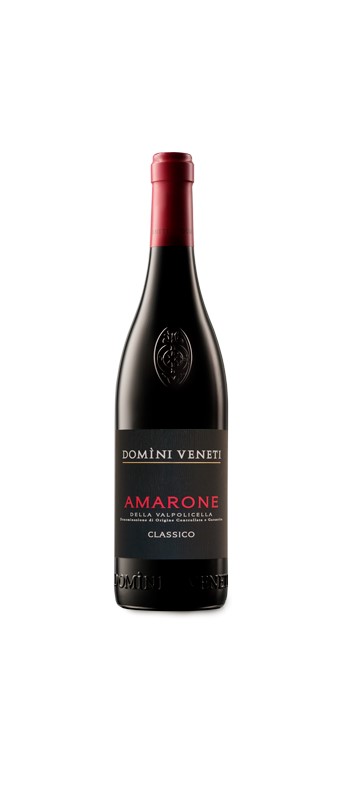 Amarone della Valpolicella 2019 Domini DOCG Classico Veneti